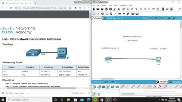 Lab - View Network Device MAC Addresses