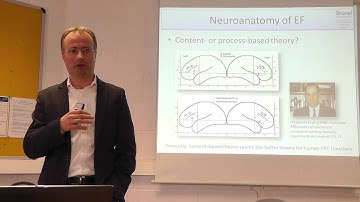 PY5501 - Executive Functions - Lecture 1 (Part 2)