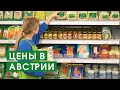 Цены в Австрии 2022. Жизнь украинских беженцев. Светлана Белоусова, Нижняя Австрия