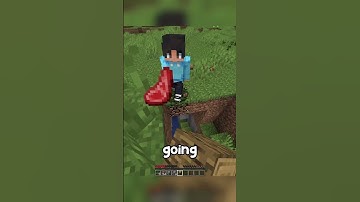 Minecraft, But It Has REALISTIC Physics!