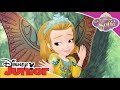 La Princesa Sofía: Momentos Especiales - Princesa Mariposa | Disney Junior Oficial