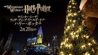 Winter In The Wizarding World of Harry Potter - Universal Studios Japan (2017)