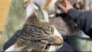 ヒップアタックとヤキモチこーちゃん。