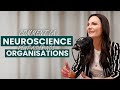 Lauranne houdeblais  la neuroscience en affaires  pisode 32