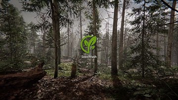 Mossy Forest using APVs - Unity HDRP