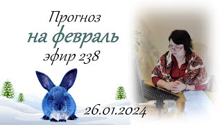 238. Прогноз на февраль.