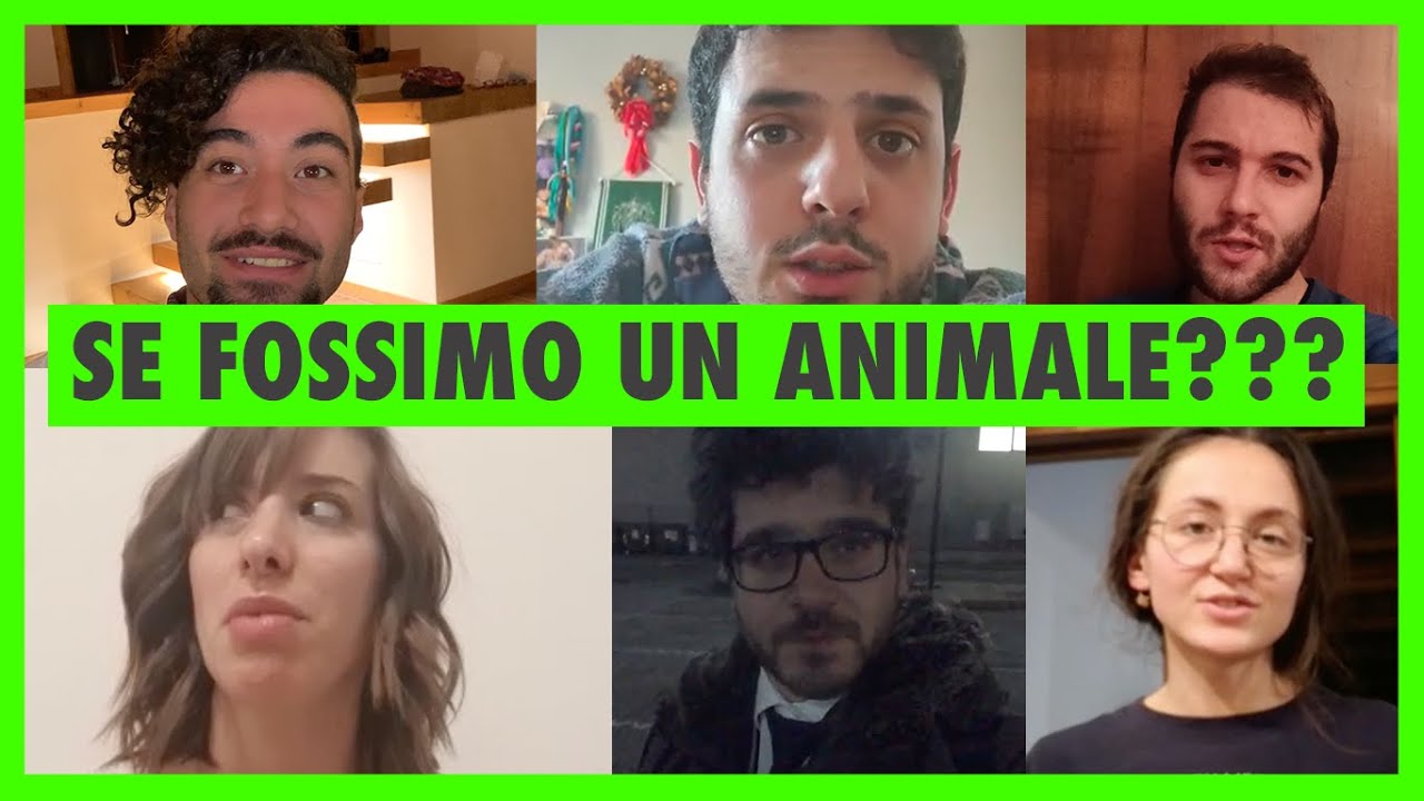 CHI SIAMO? LA STAFF L/C 2020 [Gruppo Scout Montemerlo 1]