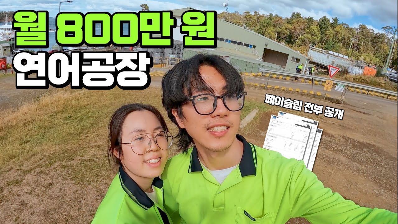 호주 워홀, 한 달에 800만 원 버는 연어공장 타쌀(Tassal) 후기