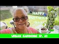 Mother’s Day Garden Tour! | Spring 2024 | Zone 8A GA | Urban Garden Ep. 82 || Steffanie's Journey