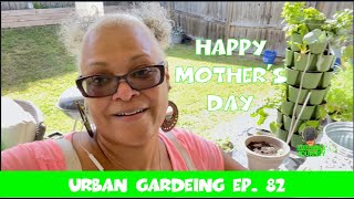 Mother’s Day Garden Tour! | Spring 2024 | Zone 8A GA  | Urban Garden Ep. 82 || Steffanie's Journey