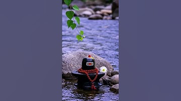 Laagi Lagan Shankar ! mahadev status ! sawan status #mahadev #kdstatu #short