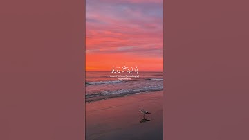 تلاوة خاشعة جميلة🧡سورة السجدة🧡القارئ الشيخ عبد الرحمن مسعد