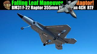 Falling Leaf Maneuver! BM31 F22 355mm Wingspan 4CH 6G|3D Twin Brushless Motors Gyro RTF