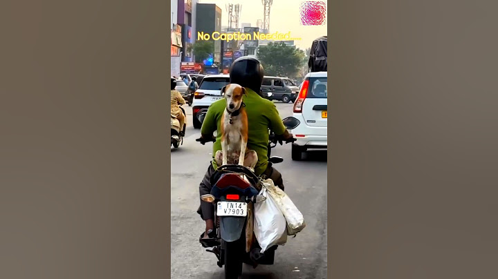 🔥Charlie ke saath game 🐕❤️#funny #trendingshorts #shorts #viral #shortsvideos #vlog