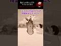 鬼ごっこ中こっそりトイレしてると→急いで!ここから出て! #2ch #ホラー