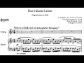 Das Irdische Leben Mahler Arr Tidrow mp3