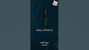 ذا النون سورة الأنبياء عبدالباسط عبدالصمد #short