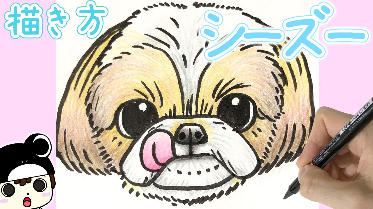 犬のイラスト すずりん流 可愛いシーズーの描き方 Youtube