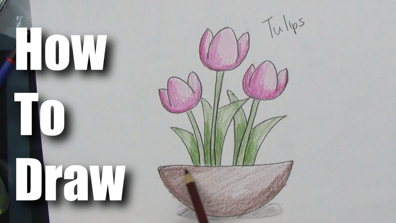 How To Draw Easy Tulips Part 2 - Coloring and Shading - YouTube