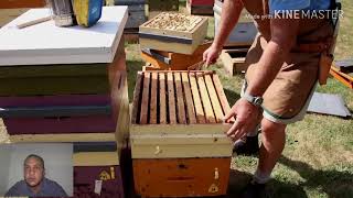 تربية النحل :- ثلاثة طرق لفرز العسل والمقارنة ايهم اسرع وافضل