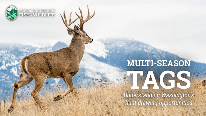 Understanding Washington's multi-season hunt opportunities