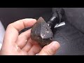 是黑還是金?