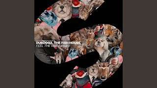 Feel The Vibe uh Uh extended Mix