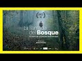🎬 Documental de Naturaleza "La LLAMADA del BOSQUE " 🌲 | Simbiotia y Bierzo Vivo | SUBS ENG