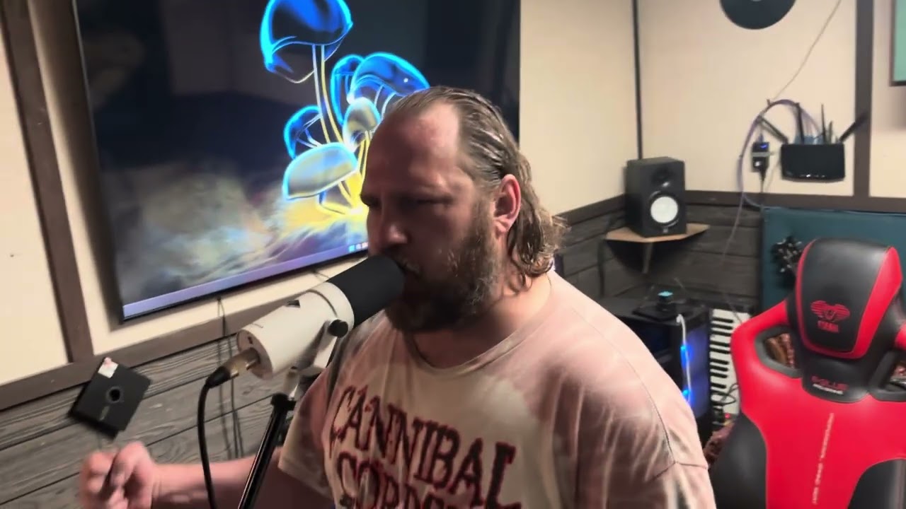 Pursuit of Vikings full band mix cover