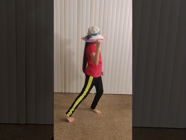 Dance Entry | Ipsita Dhar 4 | Minnesota, USA