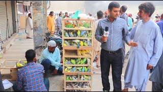 Birds Market Laukhet Sunday Video Latest Update Old Memories  in Urdu/Hindi.