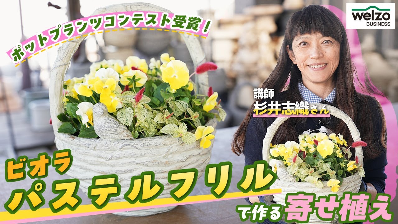 【ポットプランツコンテスト受賞！】ビオラ パステルフリルで作る寄せ植え