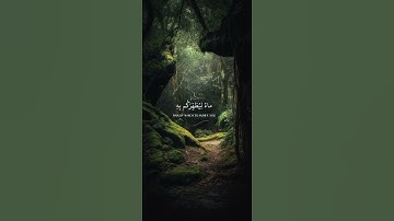 (اد يغشيكم النعاس أمنة منه)-القارئ عبدالرحمن مسعد 🎧❤️