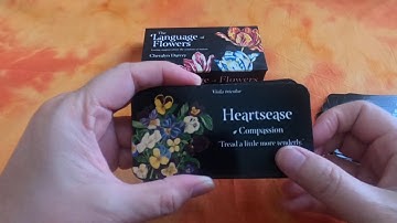 The Language of Flowers - Flip Through