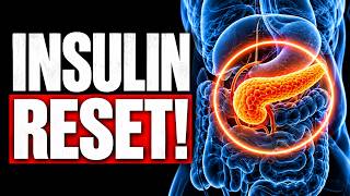 Your pancreas after a 23-hour fast – The true insulin reset