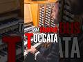 THAT Famous Toccata sounds HUGE!! #organ #toccata #organmusic