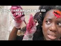 Dying my Jet Black Hair Blazing Burgundy with Clairol Textures and Tones box Dye!!! No Bleach