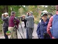 OktoBIRDfest 2022