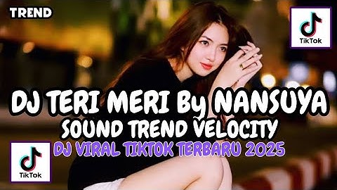 DJ TERI MERI BY NANSUYA TREND  VELOCITY TIKTOK TERBARU 2020 YANG KALIAN CARI !!