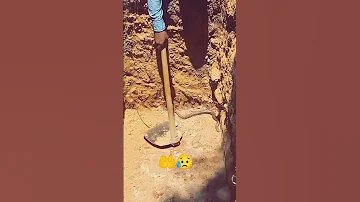 وأعوذ بك من عذاب القبر القبر عذاب دعاء يوتيوب 