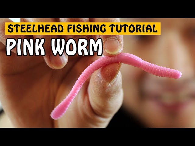 How to Fish: Pink Worm for Steelhead Fishing 