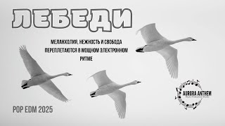 видео: Лебеди | Swans | EDM / POP Remix | Emotional Russian Song картинка: Лебеди | Swans | EDM / POP Remix | Emotional Russian Song