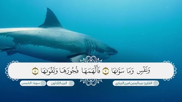 سورة الشمس بصوت القارئ عبدالرحمن امين الجباري