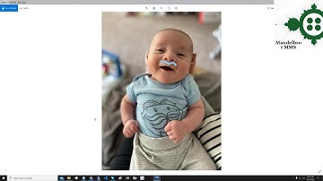 Mandelbrot MMS For Claris FileMaker 4 Minute Tour