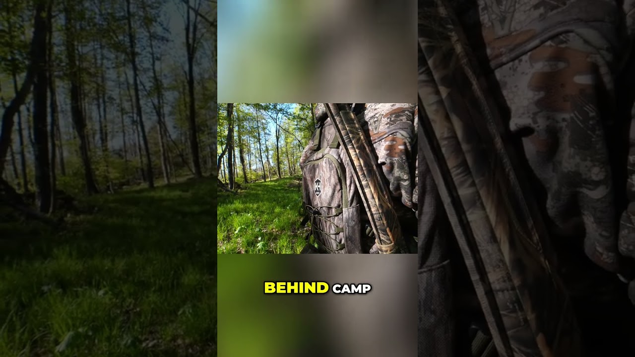 Hunting Birds: Strategy After Close Call #shorts