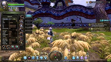 Dragon Nest SEA Crusader Damage Test