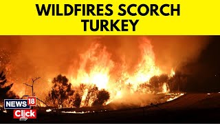 Turkey News | Türkey Continues Battling Raging Forest Fires In Çanakkale | English News | N18V