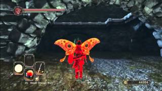 Dark Souls 2 Brotherhood Duels Axeice