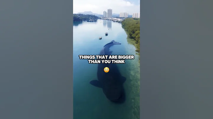 Things That Are Bigger Than You Think 😳
