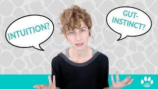 What Does Being Intuitive Mean? Intuition from a professional animal communicator